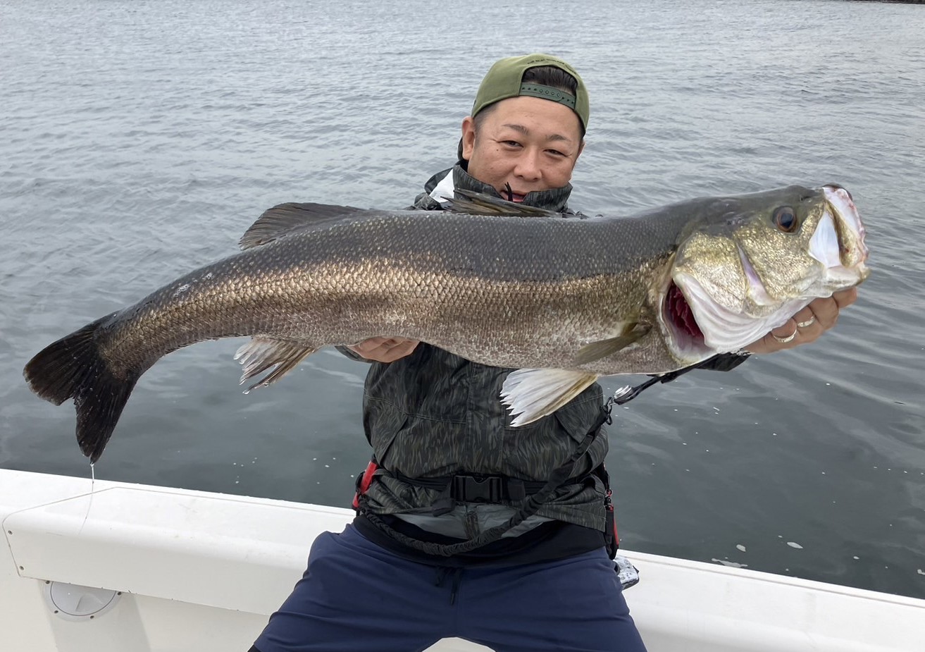 10月4週の釣果情報