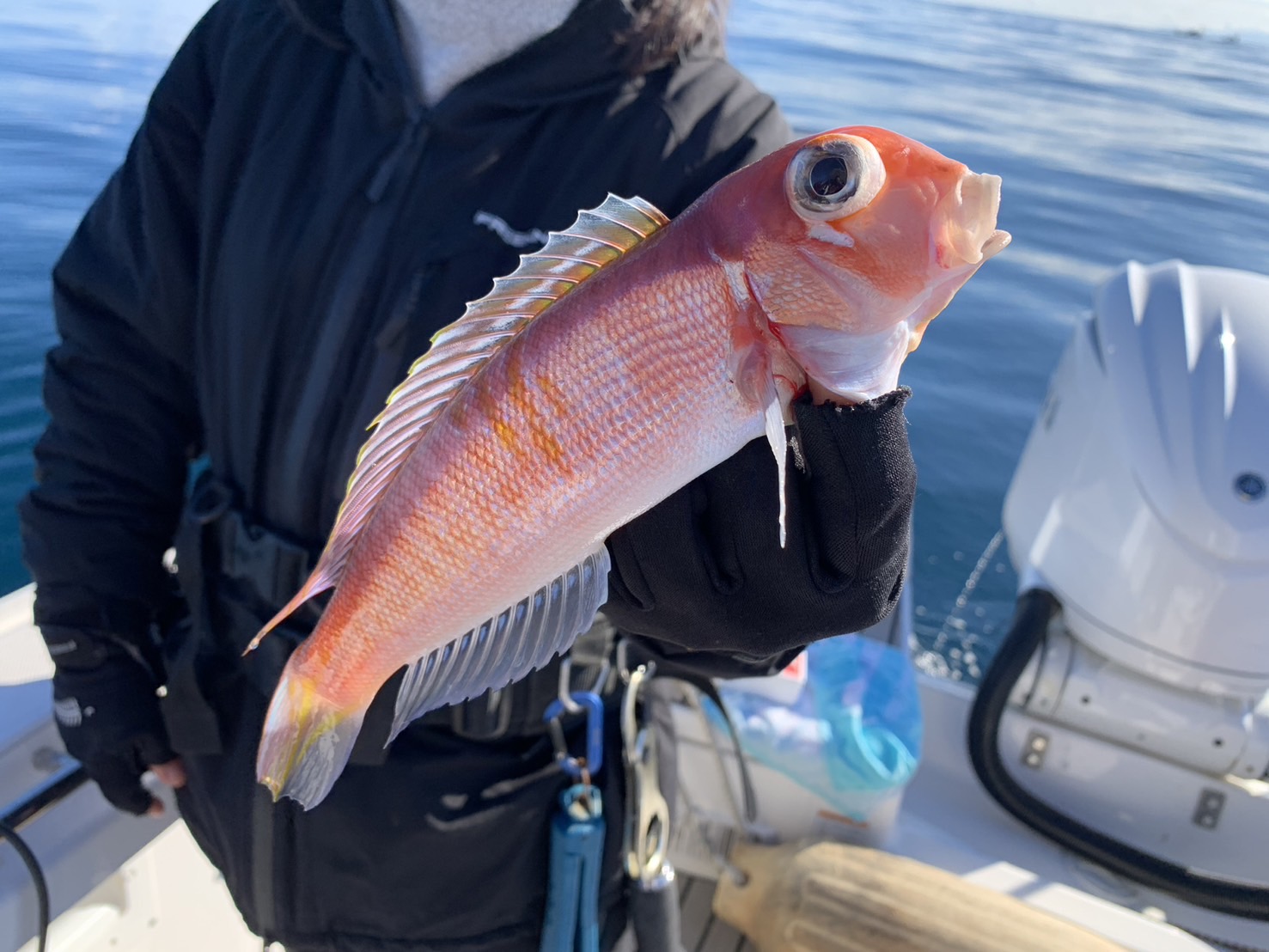 釣りニュースに掲載していだきました🎣