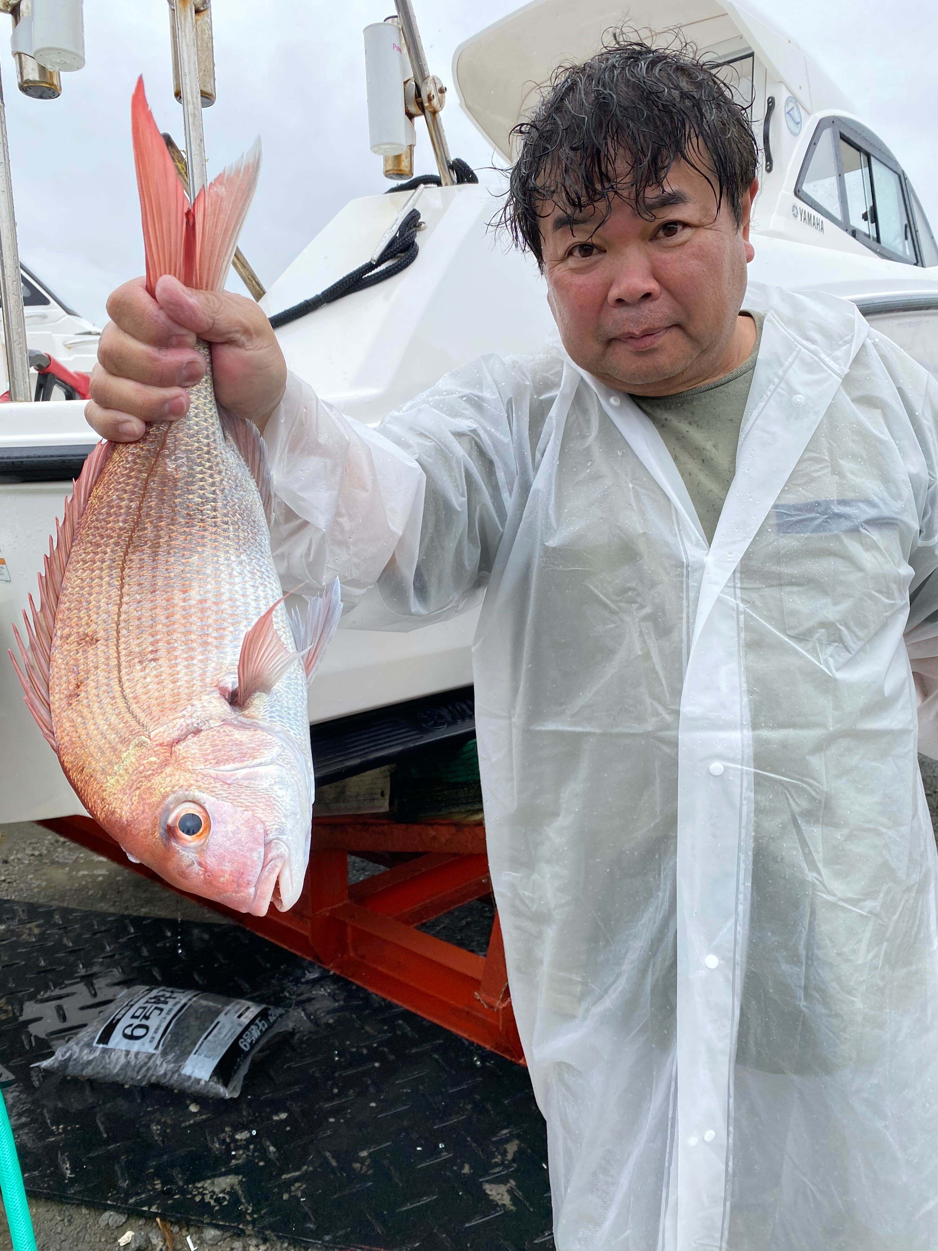 真鯛が釣れています！