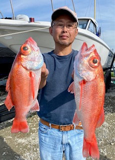 アカムツが釣れています。