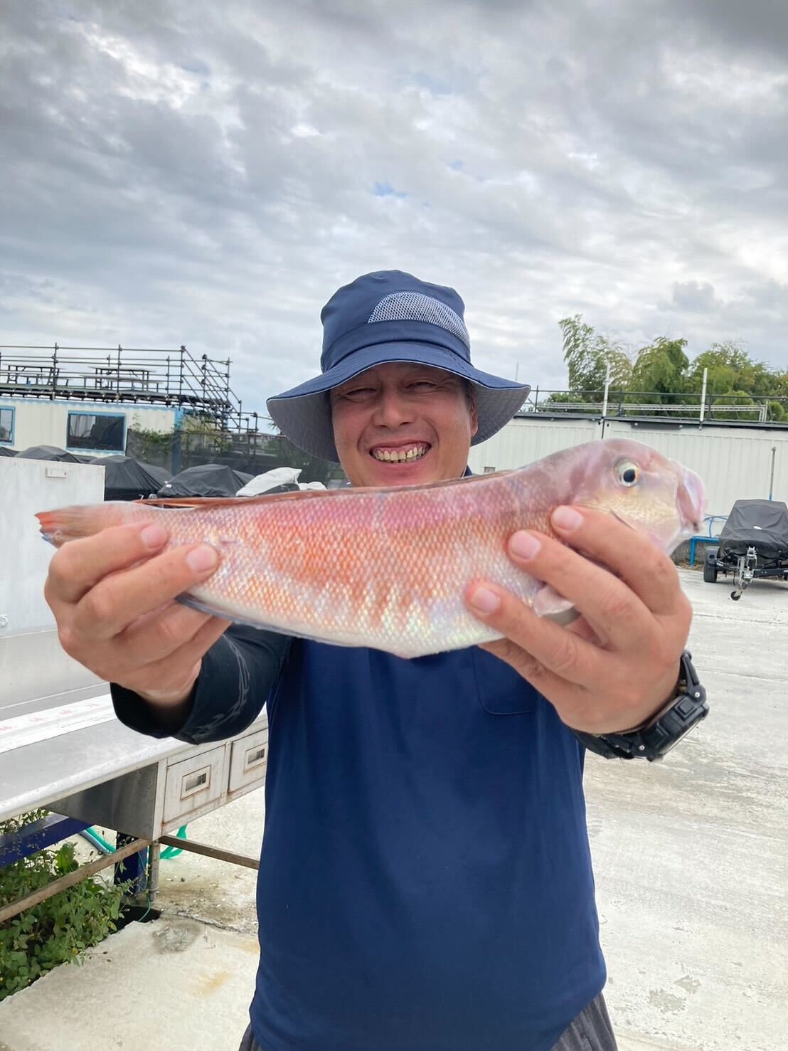 幻！？白甘鯛の釣果が増えています！