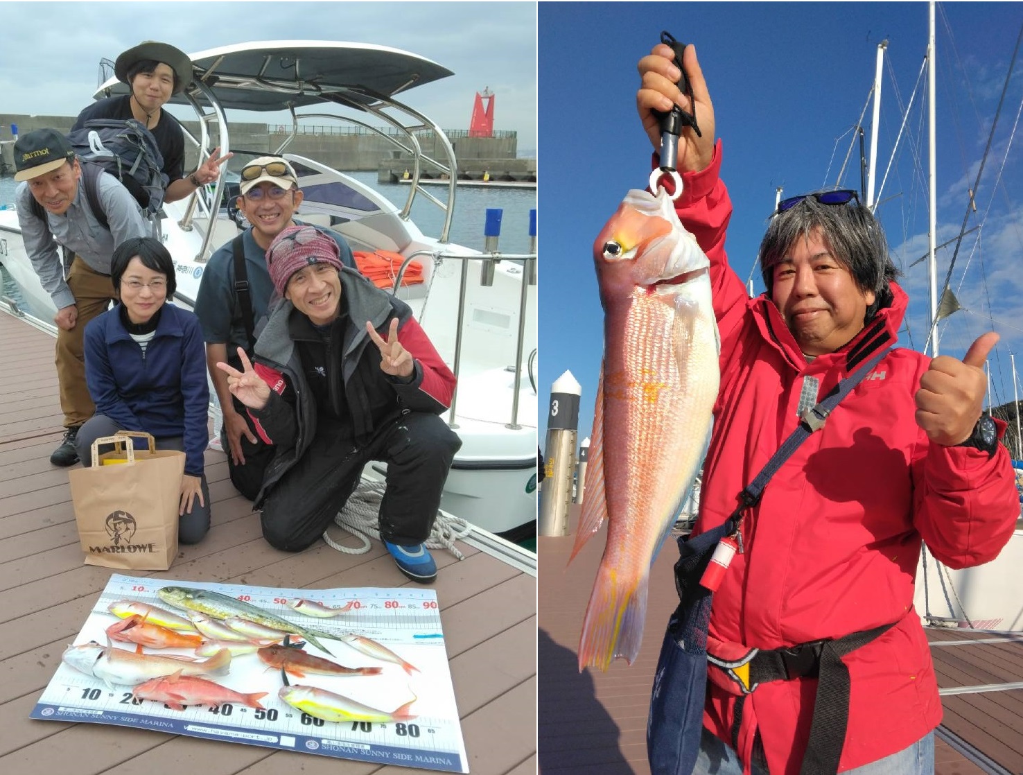 ★葉山港 11月上旬の釣果情報★