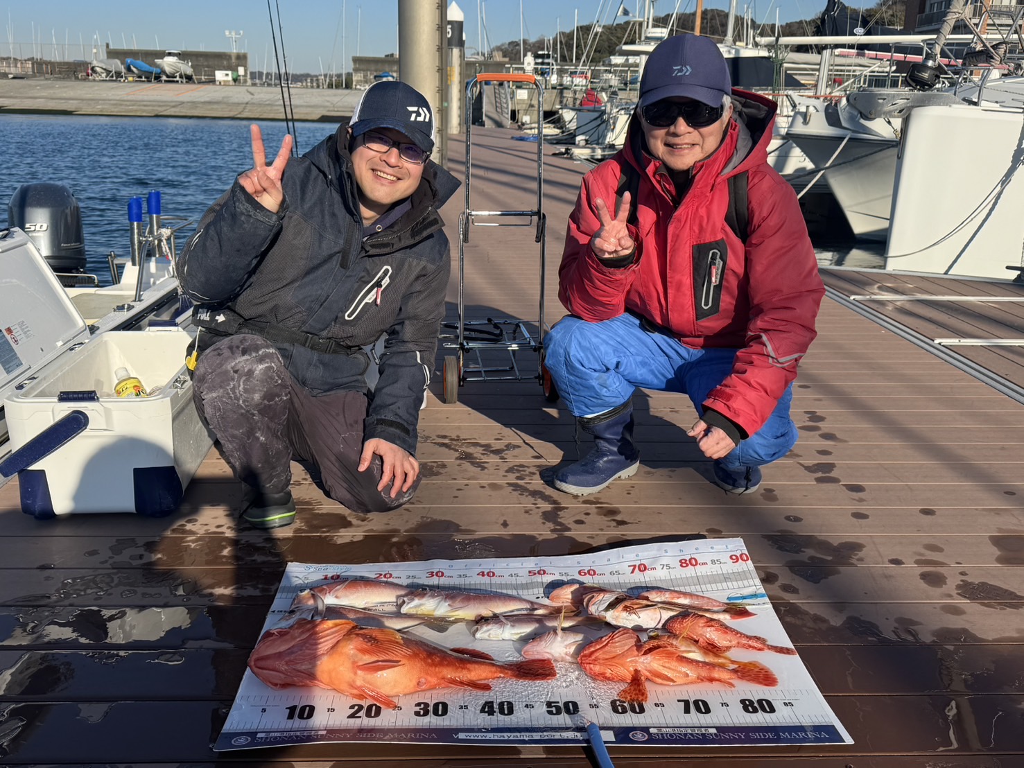 ★葉山港 1月下旬の釣果情報★