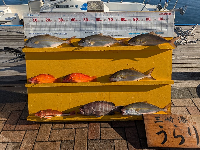 本日の釣果