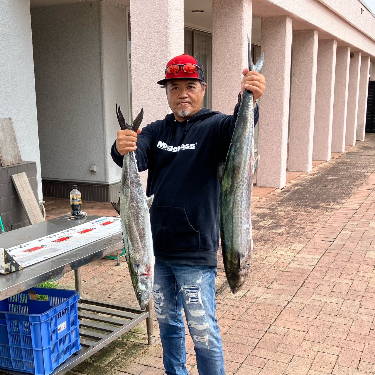 サワラ・ハマチ釣れています！！🐟