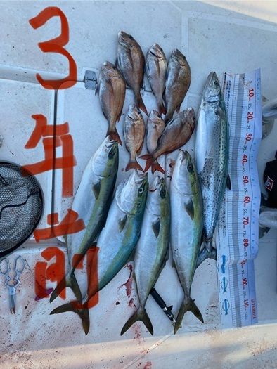 釣果情報ブログ