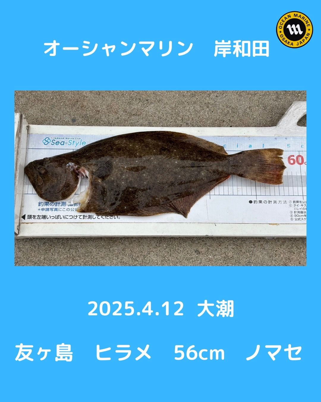 釣果情報🎣