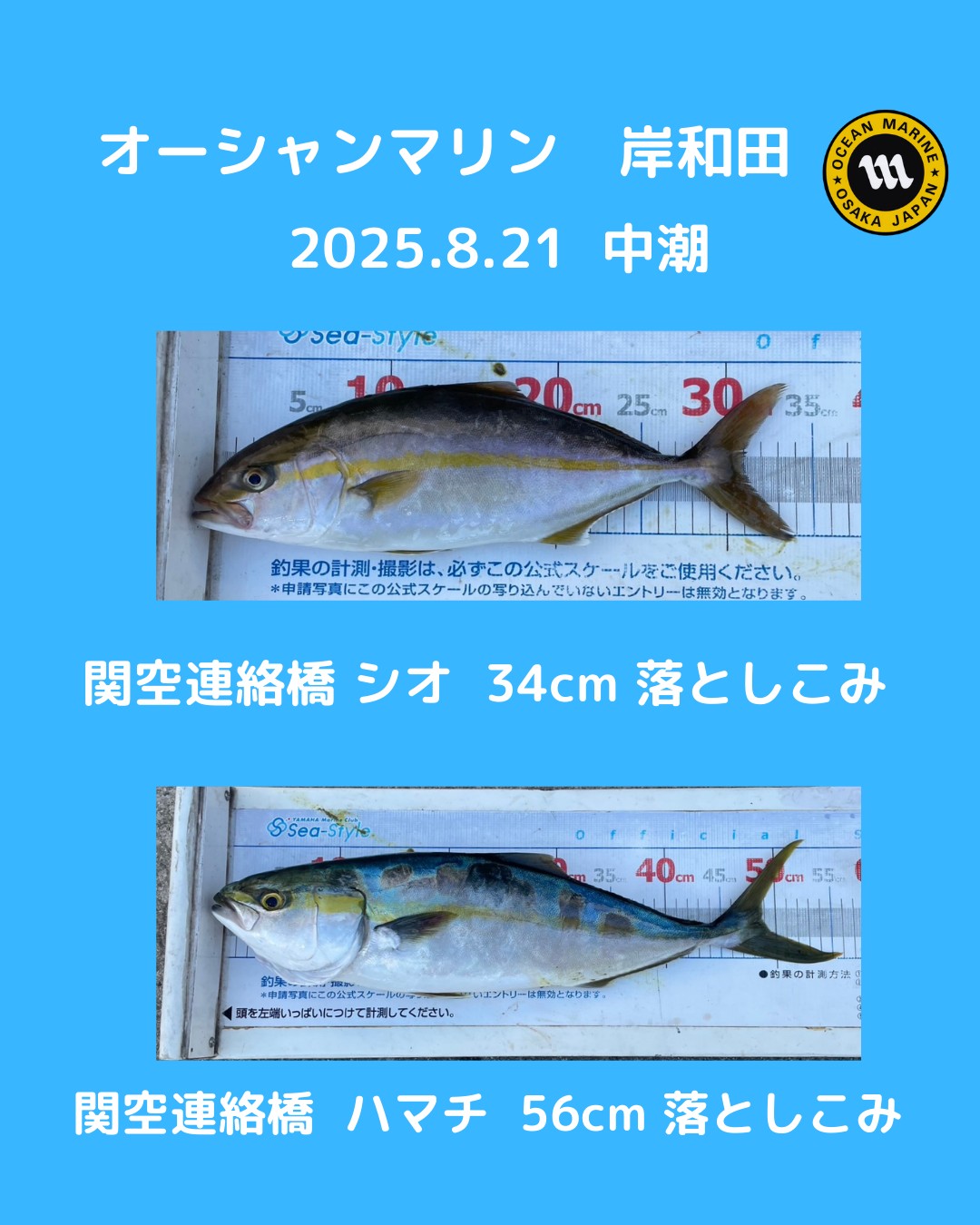 釣果情報🎣