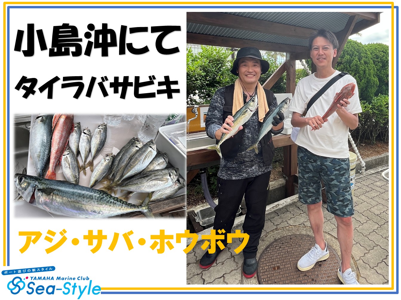 🌺🌺釣果情報🌺🌺