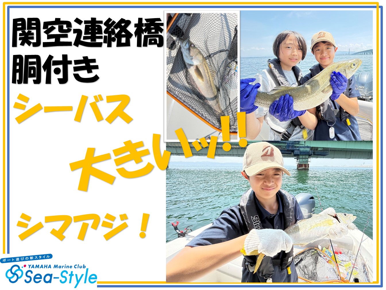 🌺🌺釣果情報🌺🌺