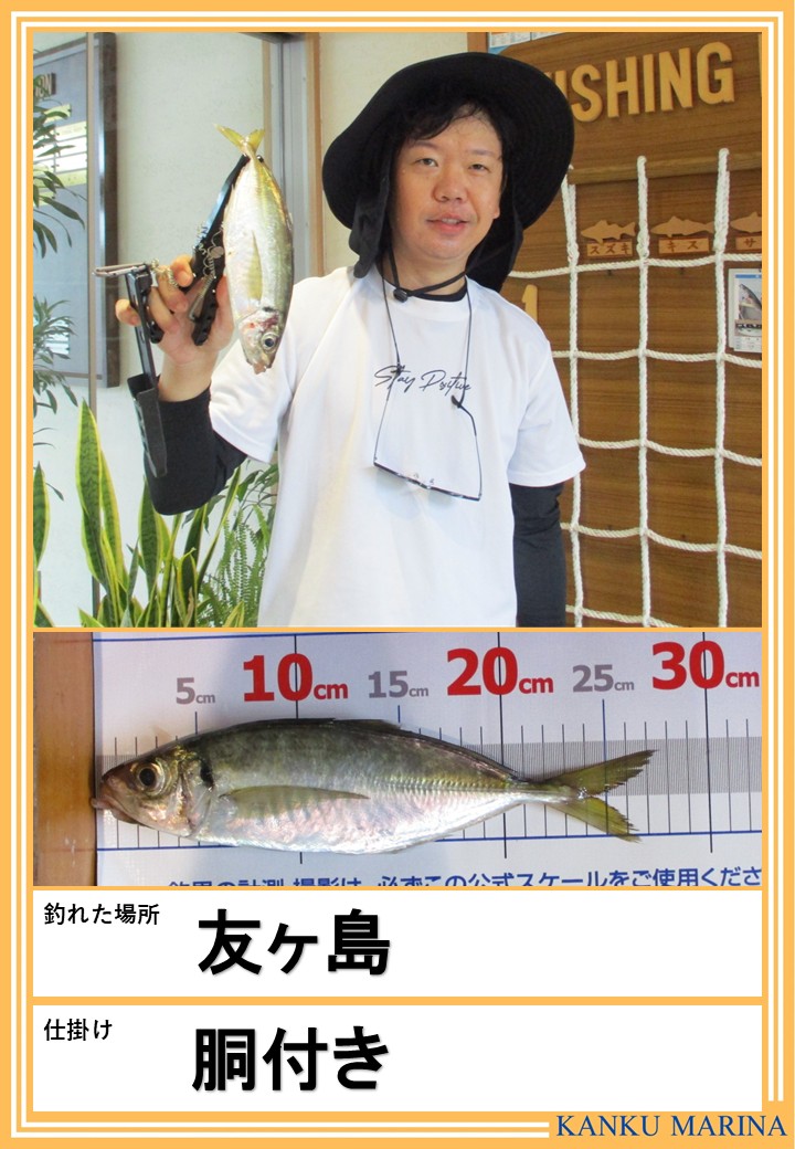 🌺🌺釣果情報🌺🌺